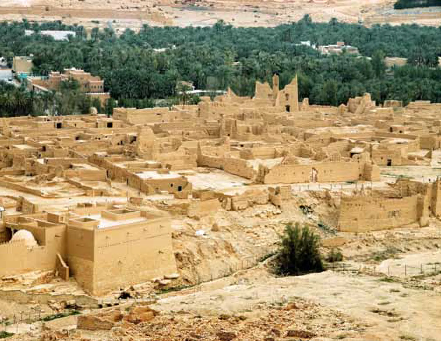 المؤرخ السعودي وتعزيز القيم الوطنية
