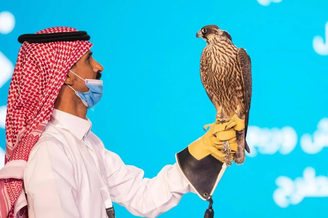 صنفت بأنها أسرع الكائنات على وجه الأرض الصقور : تاريخ من القنص ورموز للشجاعة وتراث للجزيرة العربية