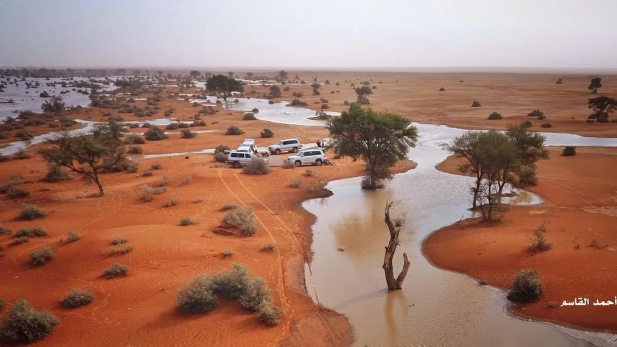 لوحات خلابة على جغرافيا الرمال .. صحراء المملكة معرض تشكيلي تخططه عبقرية المطر