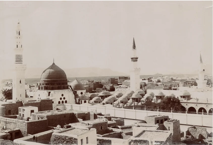The Prophet's Biography in German Writings